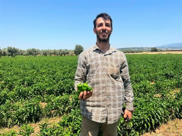 130 Yıllık Ata Tohumunda Dev Hasat! İtalyanlar Sos Yapmak İçin Peşine Düştü
